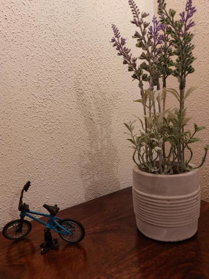 Apartment Fahrradkeller *